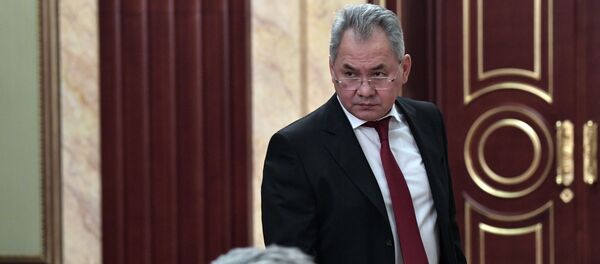 Министр обороны РФ Сергей Шойгу - 俄羅斯衛星通訊社
