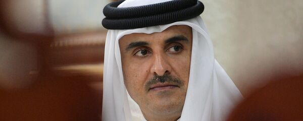 俄安全會議秘書與卡塔爾埃米爾討論經濟與安全合作問題 - 俄羅斯衛星通訊社