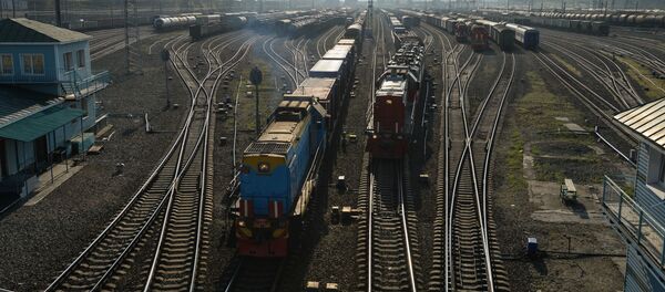 Сортировочная станция Инская в Новосибирске - 俄罗斯卫星通讯社