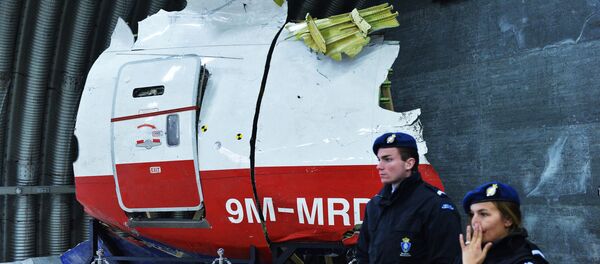 荷兰法院将审议马航MH17空难四名被告案卷材料的日期推迟至6月8日 - 俄罗斯卫星通讯社