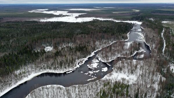 卡累利阿共和国夏普夏河的航拍照片 - 俄罗斯卫星通讯社