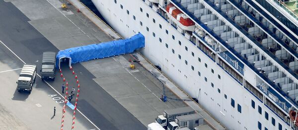 第三批钻石公主号邮轮香港居民返港 剩余约30名港人的撤离正在积极安排中 - 俄罗斯卫星通讯社