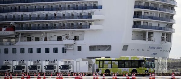 Круизный лайнер Diamond Princess у японского порта Йокогама - 俄罗斯卫星通讯社