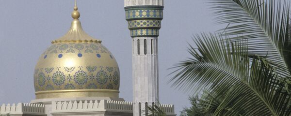 美國務院：蓬佩奧與阿曼新蘇丹舉行會晤並轉達訪問白宮邀請 - 俄羅斯衛星通訊社