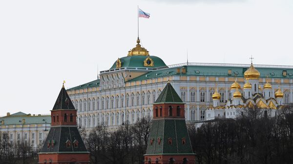 克宮：目前普京的日程中沒有與中非總統的會晤 - 俄羅斯衛星通訊社