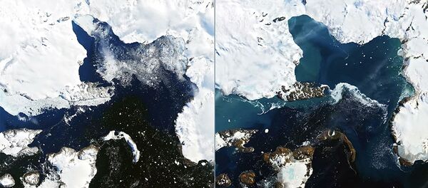 美国宇航局发布南极冰川融化照片 - 俄罗斯卫星通讯社