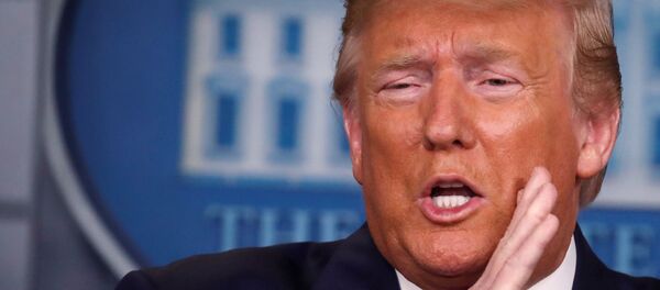 Президент США Дональд Трамп во время встречи с журналистами в Белом доме - 俄羅斯衛星通訊社