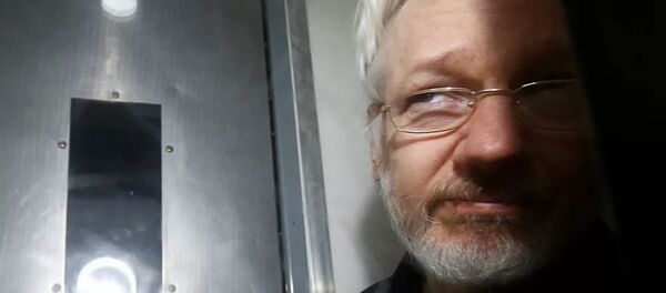 Джулиан Ассанж - 俄羅斯衛星通訊社