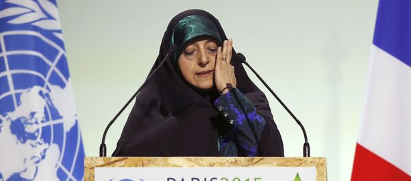 Масуме Эбтекар - 俄罗斯卫星通讯社