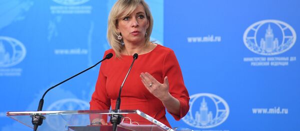 俄外交部：莫斯科相信美国在必要时也能对俄方提供抗疫支持 - 俄罗斯卫星通讯社