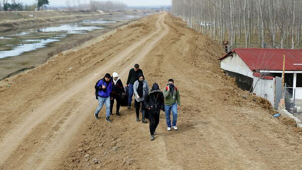 Группа сирийских мигрантов на турецко-греческой границе недалеко от города Эдирне - 俄罗斯卫星通讯社