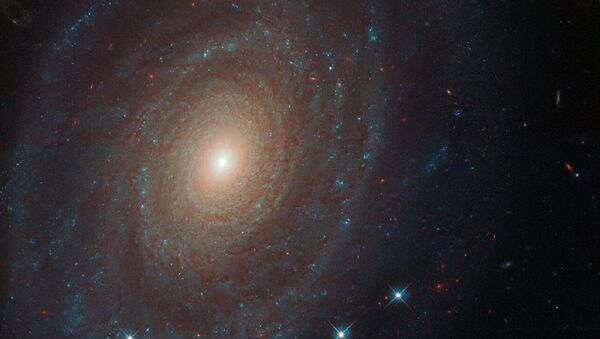 NGC 691星系 - 俄罗斯卫星通讯社