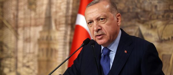 Президент Турции Реджеп Тайип Эрдоган Президент Турции Реджеп Тайип Эрдоган - 俄罗斯卫星通讯社