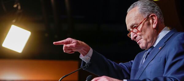 Сенатор-демократ Чак Шумер на заседании в Вашингтоне Сенатор-демократ Чак Шумер на заседании в Вашингтоне - 俄羅斯衛星通訊社