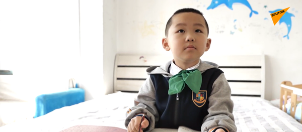 受疫情影響上海中小學開始網上授課 受疫情影響上海中小學開始網上授課 - 俄羅斯衛星通訊社