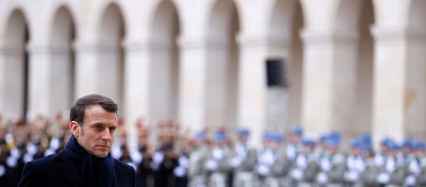 French President Emmanuel Macron - 俄罗斯卫星通讯社