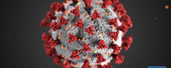 2019-nCoV - 俄罗斯卫星通讯社