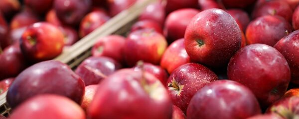 Яблоки - 俄罗斯卫星通讯社