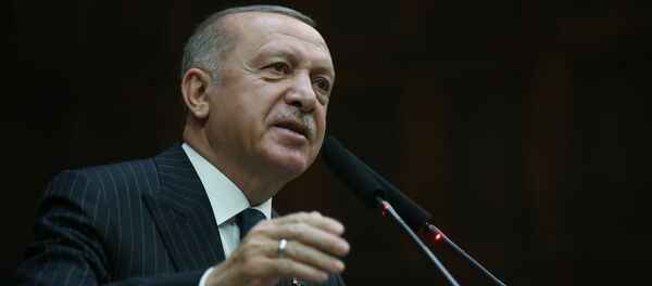 土耳其总统 土耳其总统 - 俄罗斯卫星通讯社