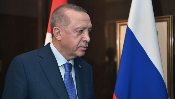 土耳其总统称他与普京讨论了俄可能参与在土再建造两座核电站的议题 - 俄罗斯卫星通讯社