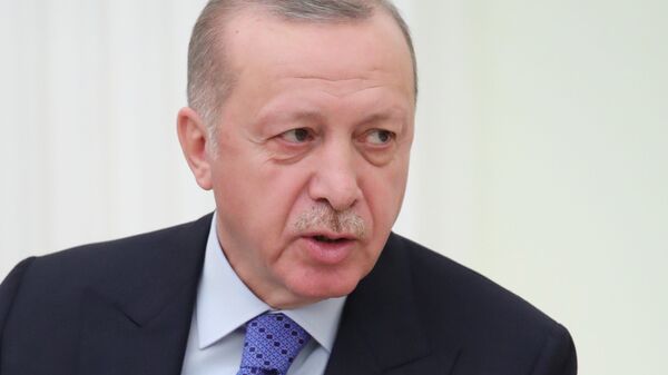土耳其总统埃尔多安 - 俄罗斯卫星通讯社