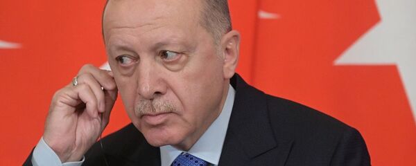 Эрдоган Эрдоган - 俄羅斯衛星通訊社