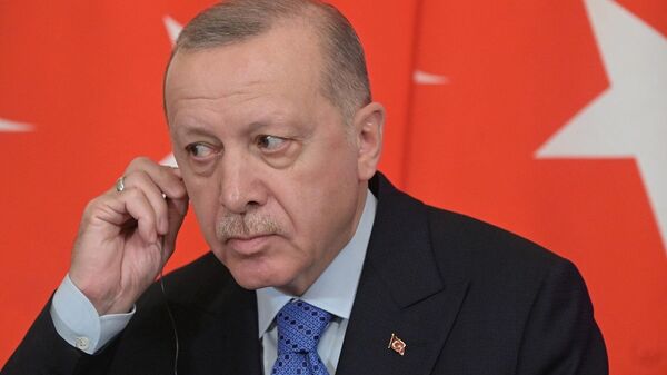 土耳其總統雷傑普•塔伊普•埃爾多安 - 俄羅斯衛星通訊社