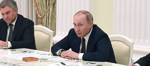 Владимир Путин - 俄罗斯卫星通讯社