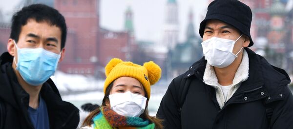 专家称中国到俄罗斯的旅游客流量可能在2020年秋季恢复 - 俄罗斯卫星通讯社