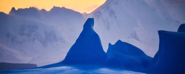 Антарктида - 俄罗斯卫星通讯社