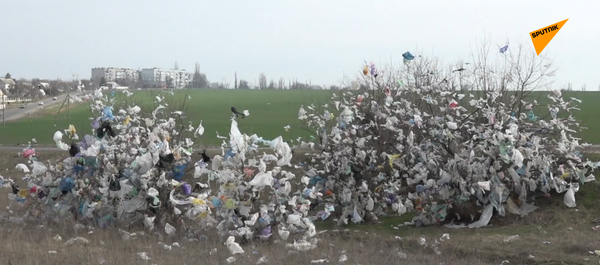 В Украине штормовой ветер разнес мусор со свалки  - 俄罗斯卫星通讯社