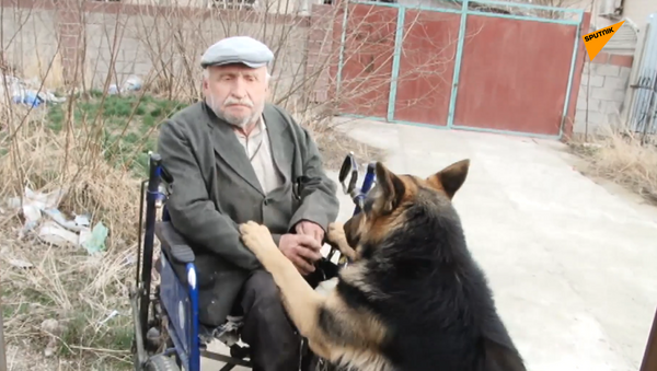 Собаки - помощники инвалидов - 俄罗斯卫星通讯社