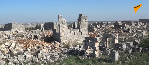 敘利亞政府軍從恐怖分子手中解放巴拉古城 - 俄羅斯衛星通訊社