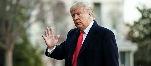 Президент США Дональд Трамп - 俄罗斯卫星通讯社