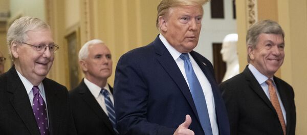 President Donald Trump - 俄罗斯卫星通讯社