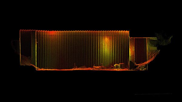 蘇格蘭森林發現丘吉爾“秘密軍隊“的地堡 - 俄羅斯衛星通訊社