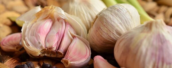 Чеснок  - 俄罗斯卫星通讯社