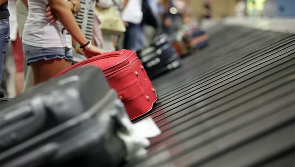 Туристы с чемоданами в аэропорту - 俄羅斯衛星通訊社