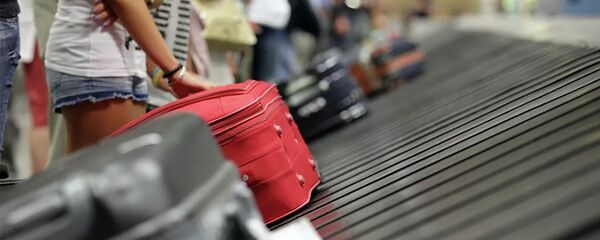 Туристы с чемоданами в аэропорту - 俄罗斯卫星通讯社