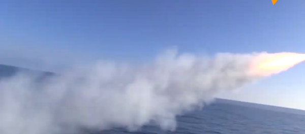 太平洋艦隊在堪察加半島海岸進行演習 - 俄羅斯衛星通訊社