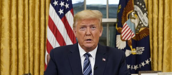 President Donald Trump - 俄罗斯卫星通讯社