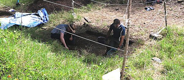 墨西哥發現猛獁象化石和前西班牙時代的人類墓葬 - 俄羅斯衛星通訊社