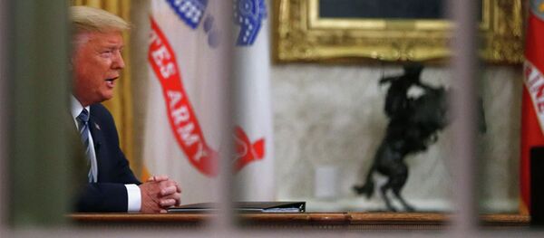 特朗普感染新冠病毒严重打击其竞选活动 - 俄罗斯卫星通讯社