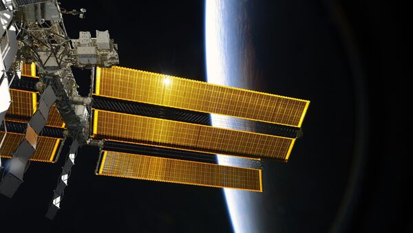 美国家航空航天局：国际空间站俄罗斯舱正接受检查以找出空气中苯的来源 - 俄罗斯卫星通讯社