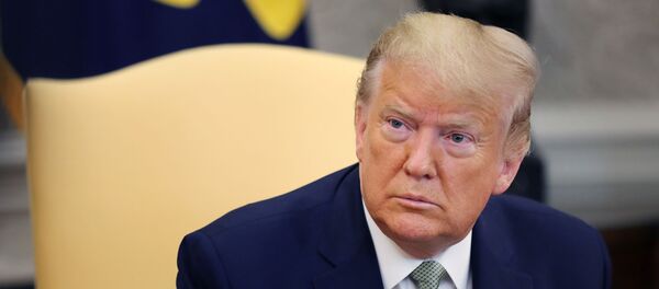  President Donald Trump - 俄羅斯衛星通訊社