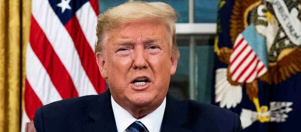 Президент США Дональд Трамп - 俄罗斯卫星通讯社