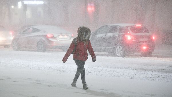 日本一高速公路约90辆车因大雪滞留 - 俄罗斯卫星通讯社