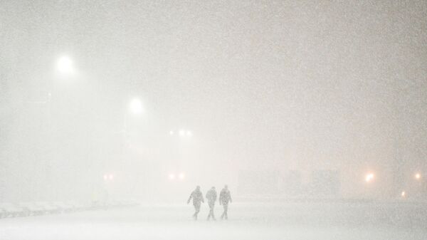 媒體：美國暴雪致死人數已升至30人 - 俄羅斯衛星通訊社