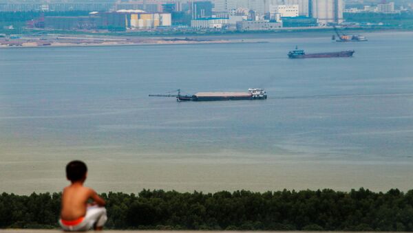 Мальчик смотрит на грузовые судна в Китае - 俄罗斯卫星通讯社