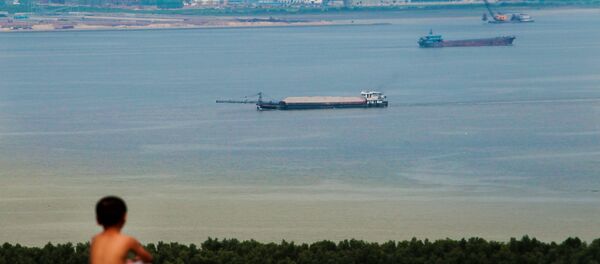 Мальчик смотрит на грузовые судна в Китае - 俄罗斯卫星通讯社